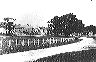 08_green-1910